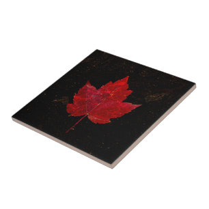 Maple Löv Red Black Guld Land Fall Struktur Kakelplatta