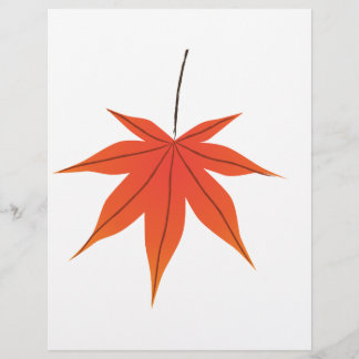 Maple Löv Reklamblad