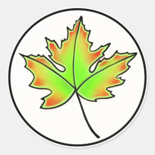 Maple Löv Runt Klistermärke