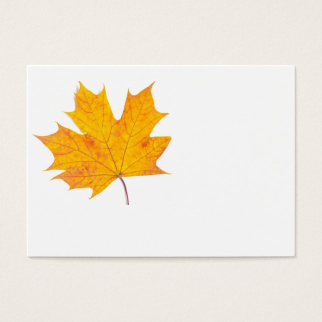 Maple löv visitkort (Framsidan)