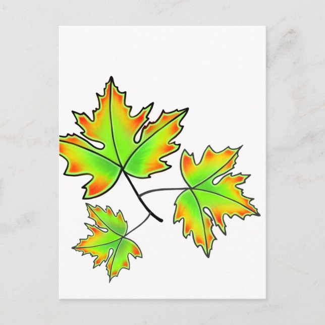 Maple Löv Vykort (Framsida)