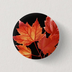 Maple Lövs Knapp