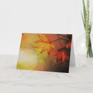 Maple Morn Greeting Cards av Artist Alison Galvan Kort
