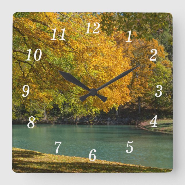 Maple Parbrella over Dogwood Bäck Wall Clock Fyrkantig Klocka (Framsida)
