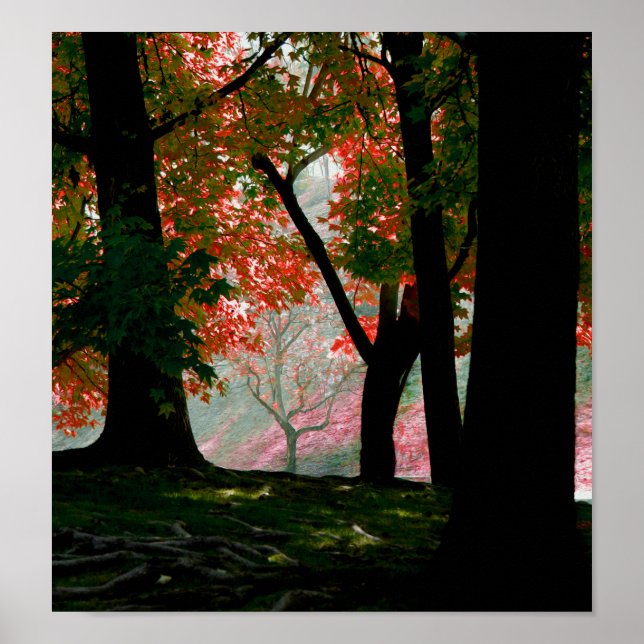 Maple Poster (Framsidan)