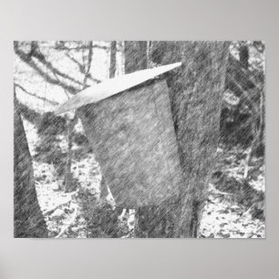 Maple Sap Bucket on Träd Black Pencil Art Poster