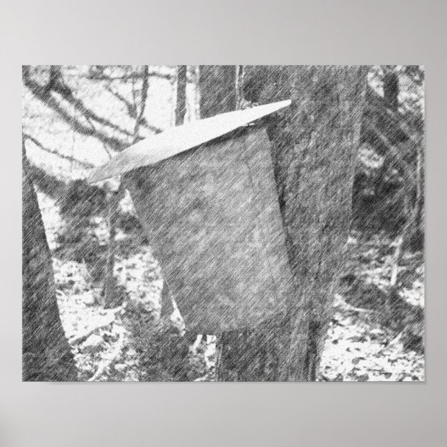 Maple Sap Bucket on Träd Black Pencil Art Poster (Framsidan)