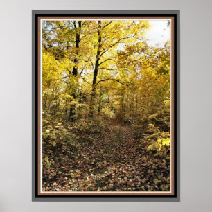 Maple Sugar Bush Väg - Fall Östra Ontario Poster
