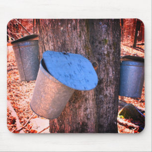 Maple Syrup Sap Bucket Natature Musmatta