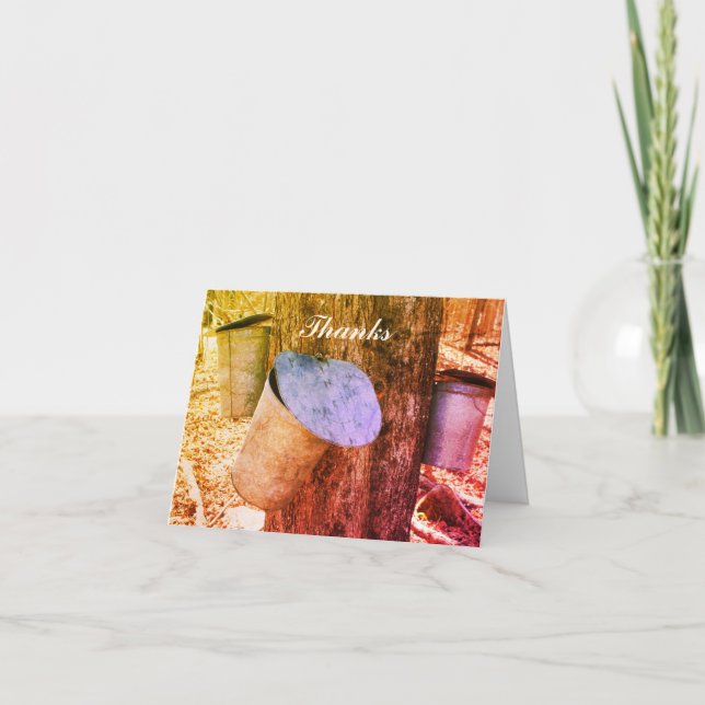 Maple Syrup Sap Bucks Nature Art - tackkort (Framsida)