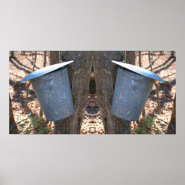 Maple Syrup Sugar Sap Bucket på Abstrakten Träd Poster (Framsidan)