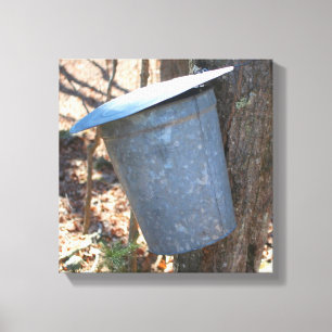 Maple Syrup Sugar Sap Bucket på Träd Canvastryck