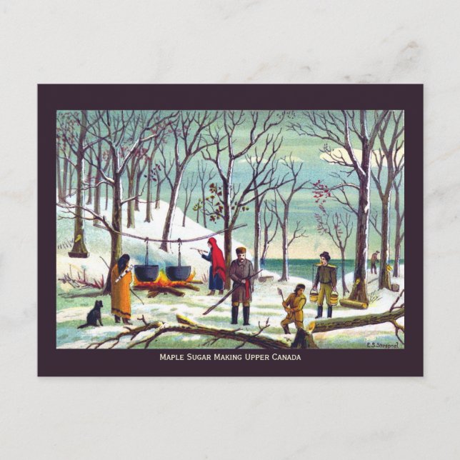 Maple Syrup Sugar Skapar Upper Canada Vykort (Framsida)
