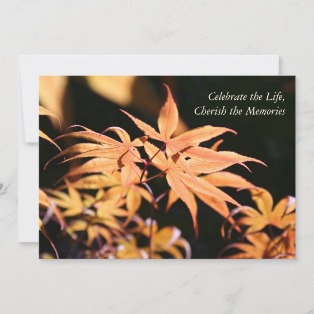 Maple Träd 1 Firande of Life Memorial Inbjudningar (Framsida)