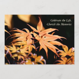 Maple Träd 1 Firande of Life Memorial Inbjudningar