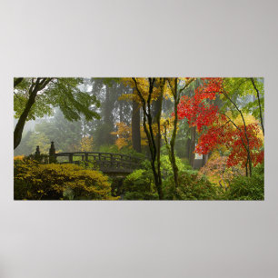 Maple Träd Höst färger på japanska Garden Poster