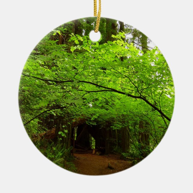 Maple Träd i Redwood Forest Julgransprydnad Keramik (Framsidan)