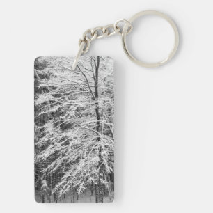 Maple Träd i Snö