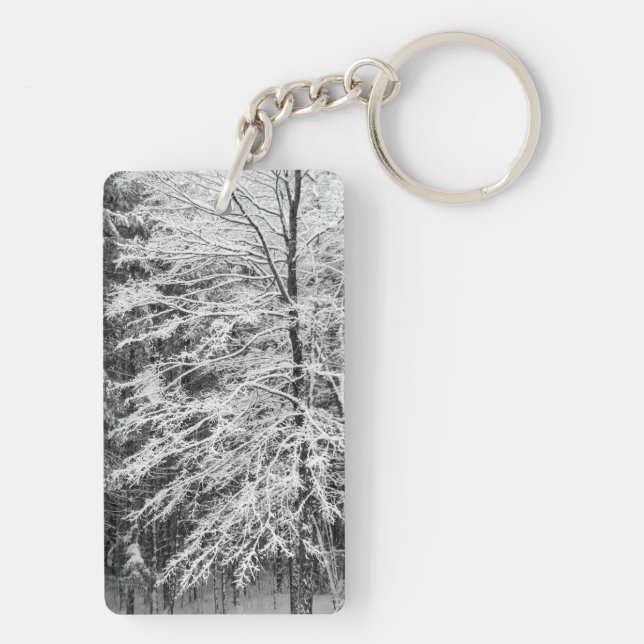 Maple Träd i Snö (Baksidan)
