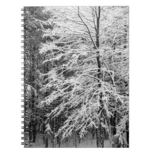 Maple Träd i Snö Anteckningsbok