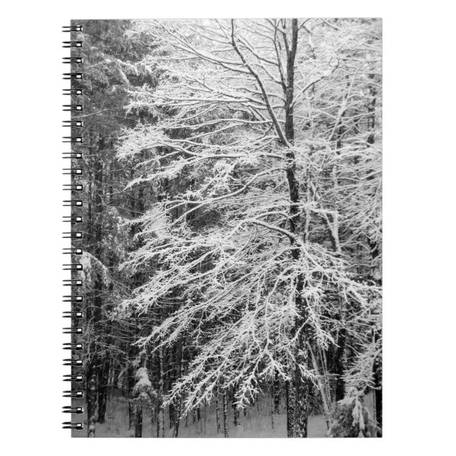 Maple Träd i Snö Anteckningsbok (Framsidan)