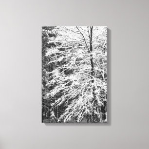 Maple Träd i Snö Canvastryck