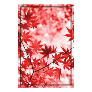 Maple Träd Löv Design Fototryck