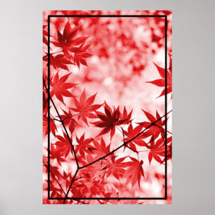 Maple Träd Löv Design Poster