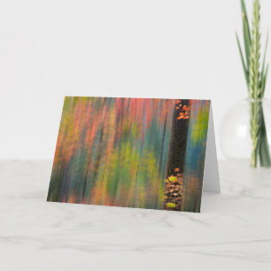 Maple Träd   Silver Falls State Park Kort