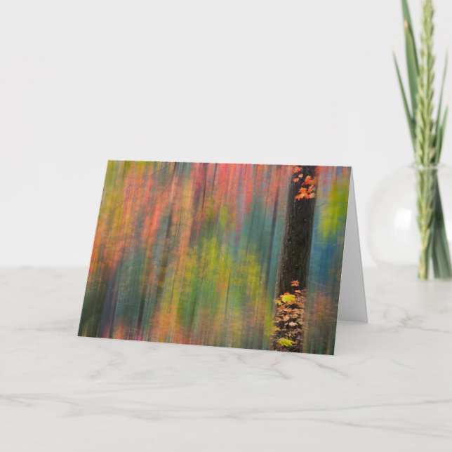 Maple Träd | Silver Falls State Park Kort (Framsida)