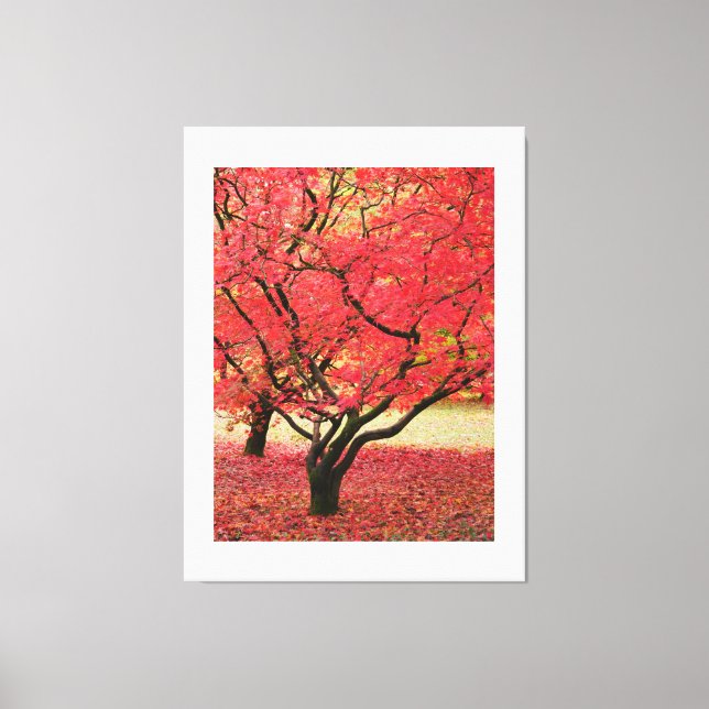 Maple Trees Canvas Print (Framsida)