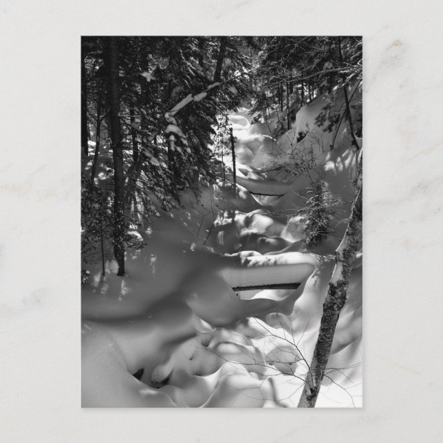 Maple Vår vykort - 1 (Framsida)