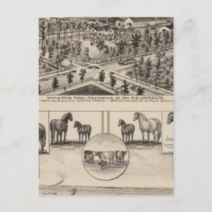 Maple Wood Farm, Kansas Vykort