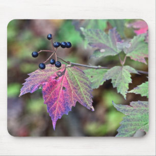 Mapleleaf Viburnum Höst löv och Berries Musmatta
