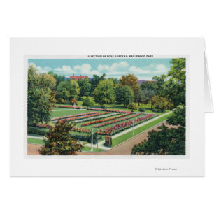 Maplewood Park Ro Garden View Hälsningskort
