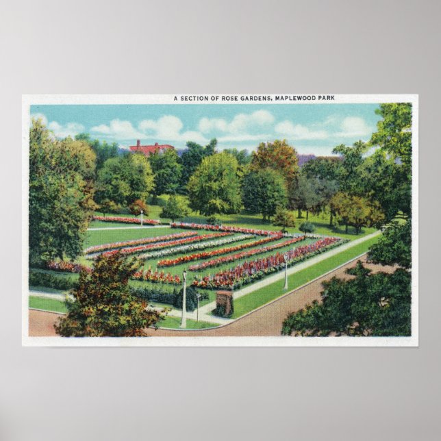 Maplewood Park Ro Garden View Poster (Framsidan)