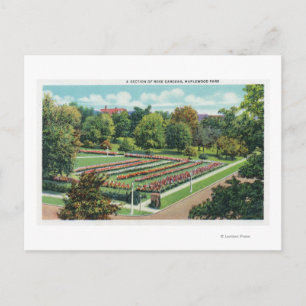 Maplewood Park Ro Garden View Vykort