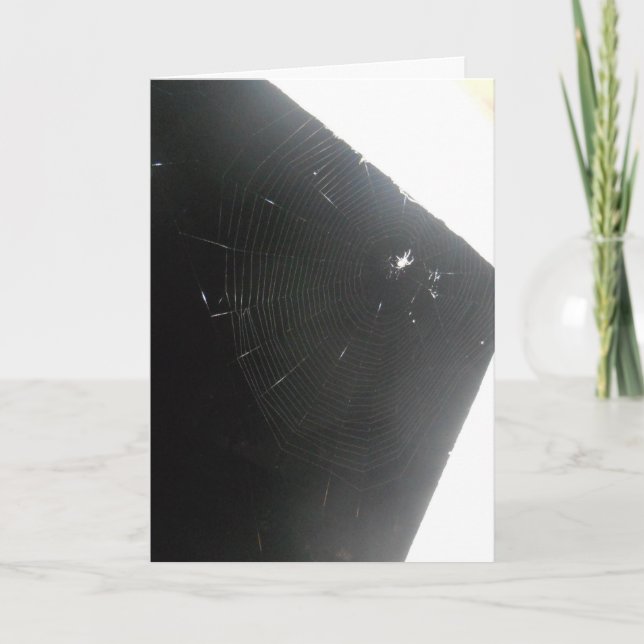 "Maplewood Spider" Snart frisk kort (Framsida)