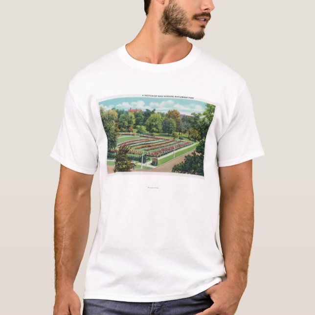 Maplewooden parkerar den rosa trädgården beskådar tee (Framsida)