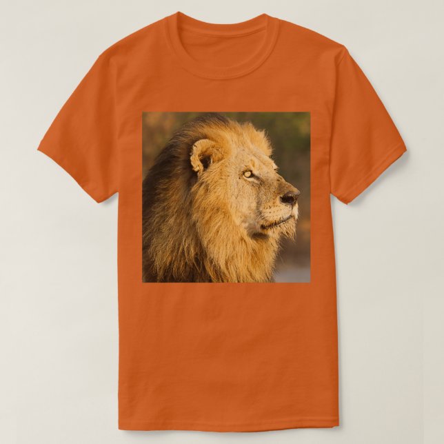 Mapogo lion in his prime t shirt (Design framsida)