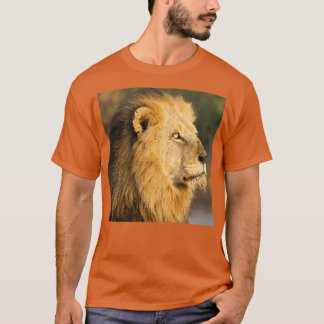 Mapogo lion in his prime t shirt