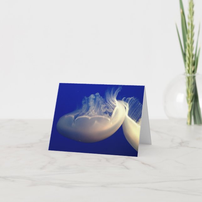 Mappat anteckningskort (Framsida)