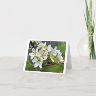 Mappat anteckningskort