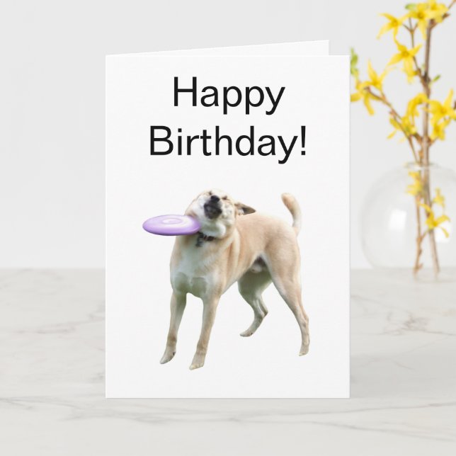 Mappat Card Frisbee-Hund Kort (Gul blomma)