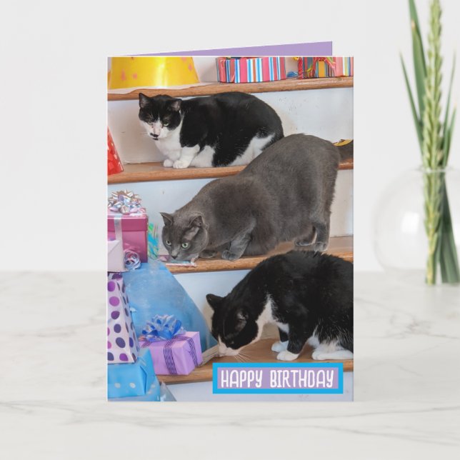 Mappat-gratulationskort Kort (Framsida)