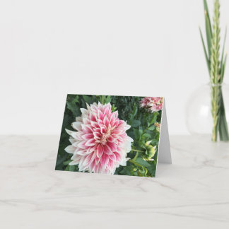 Mappat-gratulationskort Kort