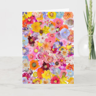 Mappat-gratulationskort Kort