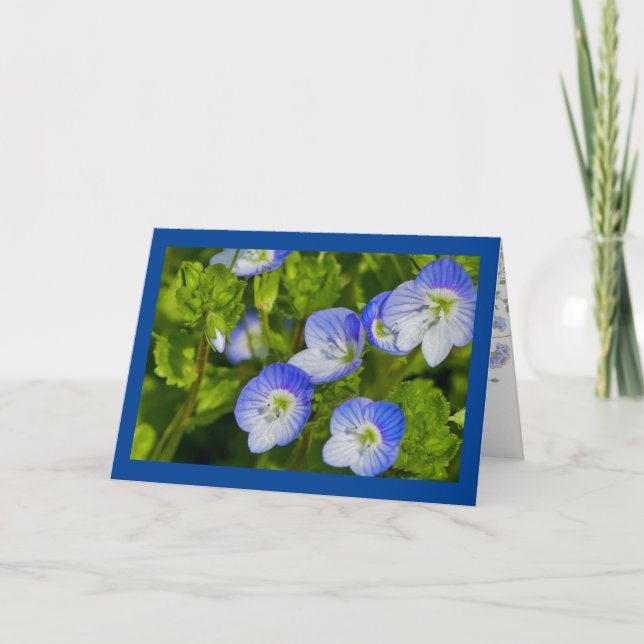 Mappat-gratulationskort Kort (Framsida)