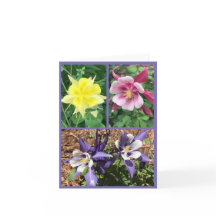 Mappat-gratulationskort