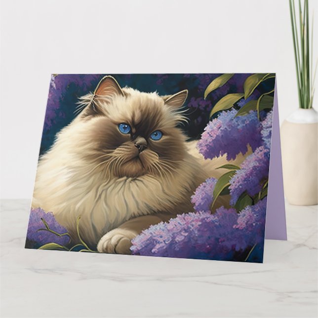 Mappat-gratulationskort Kort (Framsida)